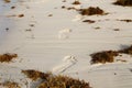 Traces of bare feet on sand beach