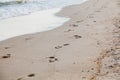 Traces of bare feet on wet sea sand Royalty Free Stock Photo