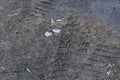 Traces car tire treads wet sand after snowmelt. Royalty Free Stock Photo