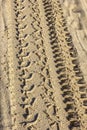 Traces of different car tires on the sand Royalty Free Stock Photo