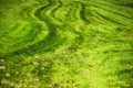 Traces of farm tractor on meadow landscape background Royalty Free Stock Photo