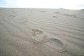 Traces of female bare feet on clean sand