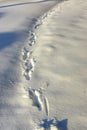 Traces of footprints in snowdrifts in winter