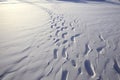 Traces in a geometric pattern on a snow-covered ground left by people or objects in a silent winter landscape.
