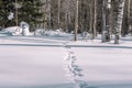 Traces of a hare in the snow. Traces of animals in the forest in winter. Winter trail. T Royalty Free Stock Photo