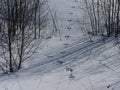 The traces of hare on the snow nearby russian village