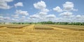 Traces of a harvester passing through a wheat field Royalty Free Stock Photo