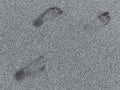 Traces of human feet on the sea sand. Background texture: summer beach walks. Footprint on the sandy seashore Royalty Free Stock Photo