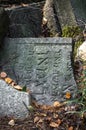 Traces of Jewish Warsaw - Brodno cemetery