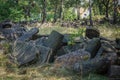 Traces of Jewish Warsaw - Brodno cemetery