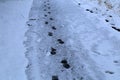 Traces of a man on a snow covered road