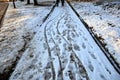 Traces on the melting snow. Russian winter