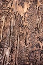 Traces of a pest on a tree bark closeup. Damaged wood by bark beetle