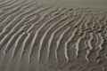 Traces in the sand on a beach formed by waves Royalty Free Stock Photo