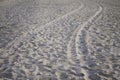 Traces in the sand of Rio de Janeiro Royalty Free Stock Photo