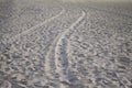 Traces in the sand of Rio de Janeiro Royalty Free Stock Photo