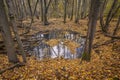 traces of the Second World War in the autumn forest of the Kaliningrad region Royalty Free Stock Photo