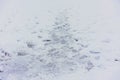 Traces of shoes in snow on path through frozen river Royalty Free Stock Photo