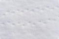 Traces of small animals on white snow background texture, footprints of animals on snowy surface Royalty Free Stock Photo