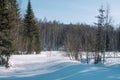 Traces of snowman in the forest. Snowmobile ride. On a snowmobile in the forest. Winter landscape