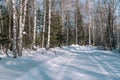 Traces of snowman in the forest. Snowmobile ride. On a snowmobile in the forest. Winter landscape