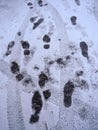 Traces on the snowy ground, footprints and tire trails