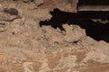 Traces of termites eat wood,animals that destroy wood Royalty Free Stock Photo