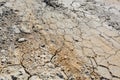 Traces of tire treads on dry cracked earth