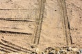 Traces of tire treads on the sand