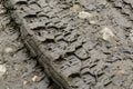 Traces of tires on a dirt road Royalty Free Stock Photo