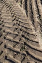 Traces of a tractor or other large machinery on the soil in the field Royalty Free Stock Photo