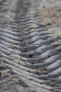 Traces of tractor wheels on the beach