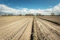 Traces of tractor wheels on a plowed field, dirt road, horizon and clouds on a blue sky Royalty Free Stock Photo