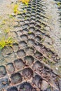 Traces from tread of car on mud ground. Tire tread on dirt ground