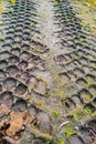 Traces from tread of car on mud ground. Tire tread on dirt ground Royalty Free Stock Photo