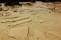 Traces of water flowing through the sand. Royalty Free Stock Photo