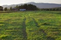 Traces wheel vehicle in a meadow Royalty Free Stock Photo