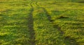 Traces wheel vehicle in a meadow Royalty Free Stock Photo