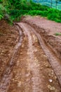 Traces wheel of vehicle in paddy soil Royalty Free Stock Photo