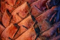 Trachycarpus palm tree trunk close-up with wood and texture