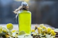 Trachyspermum ammi,Ajwain oil with leaves on a gunny background.