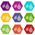 Trachyspermum ammi icon set color hexahedron