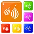 Trachyspermum ammi icons set vector color