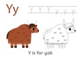 Tracing alphabet letters with cute animals. Color cute yak. Trace letter Y. Royalty Free Stock Photo