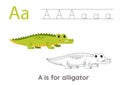 Tracing alphabet letters with cute animals. Color cute green crocodile. Trace letter A. Royalty Free Stock Photo