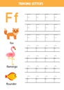 Tracing alphabet letters for kids. Animal alphabet. Letter f is for fox flamingo and flounder. Royalty Free Stock Photo