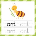 Tracing worksheet with the word -Ant. Learning material or flashcard for kids