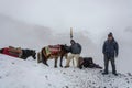 People and horses on the snowy Thorong La pass April 7, 2018 on