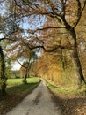 track in autumn Royalty Free Stock Photo