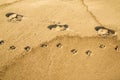 Track on a beach, man with dog Royalty Free Stock Photo